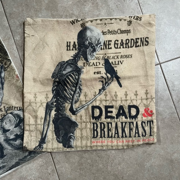 Set Of 3 Halloween Pillow Cases 17”x17” Skulls Skeletons Apothecary - Picture 3 of 5